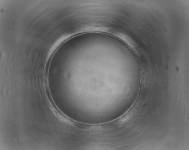 X0000070191094200605261151