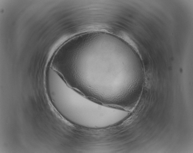 X0000070191096200605261151