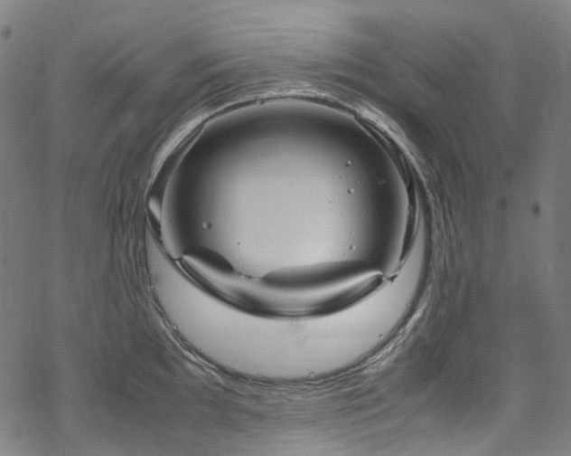 X0000070191097200605261151