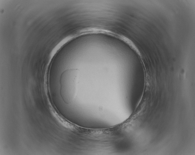 X0000070191098200605261151