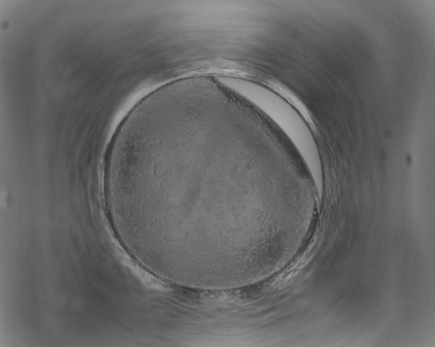 X0000070191099200605261151