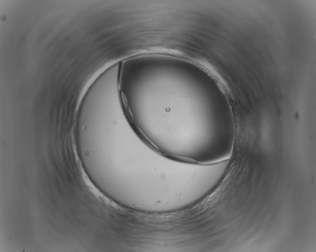 X0000070191100200605261151