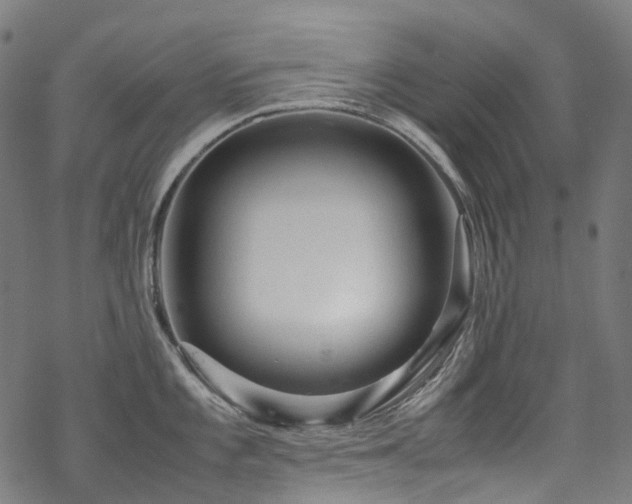 X0000070191101200605261151