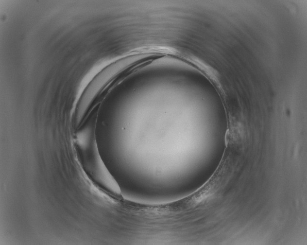 X0000070191102200605261151