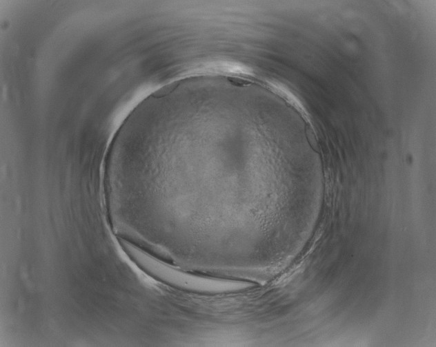 X0000070191103200605261151