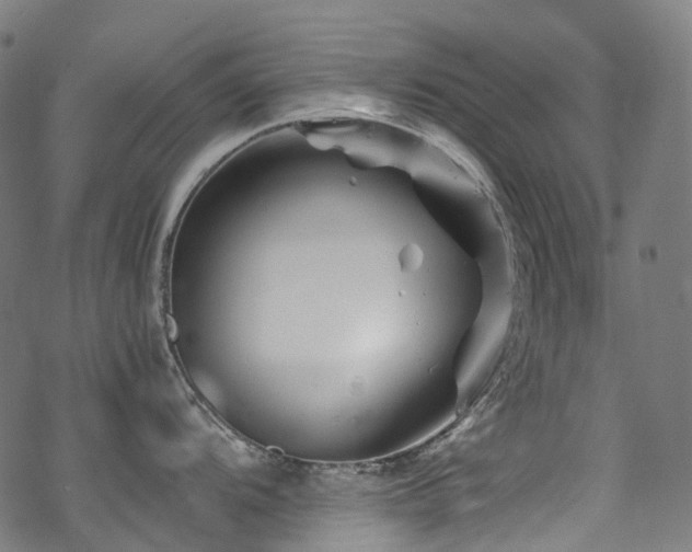 X0000070191104200605261151