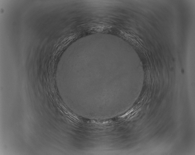 X0000070191105200605261150