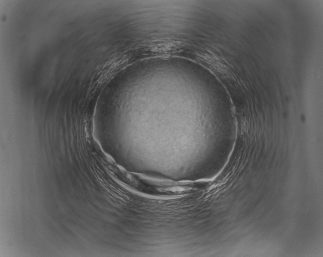 X0000070191106200605261150