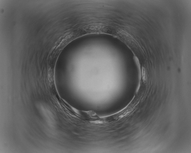 X0000070191107200605261150