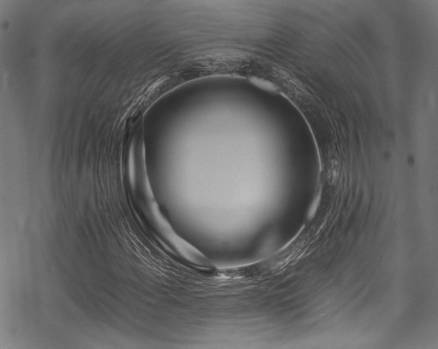 X0000070191108200605261150