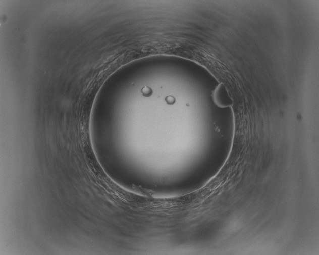 X0000070191109200605261150