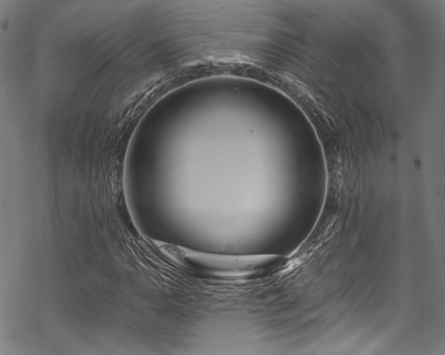 X0000070191110200605261150