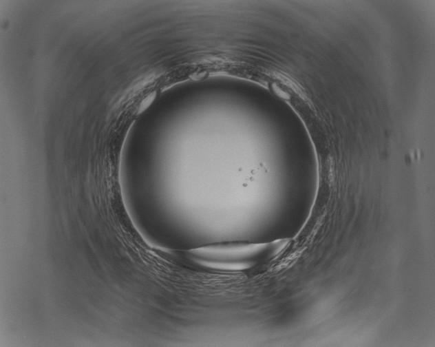 X0000070191111200605261150