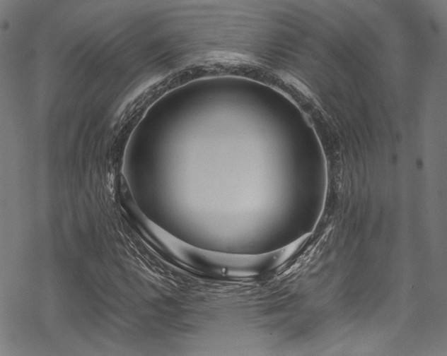 X0000070191112200605261150