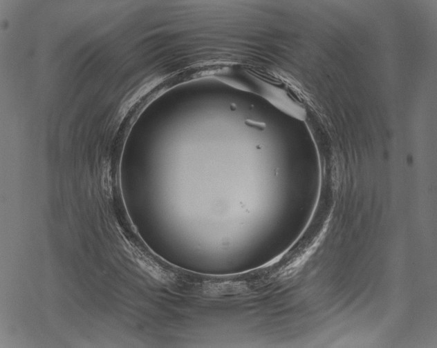 X0000070191113200605261150