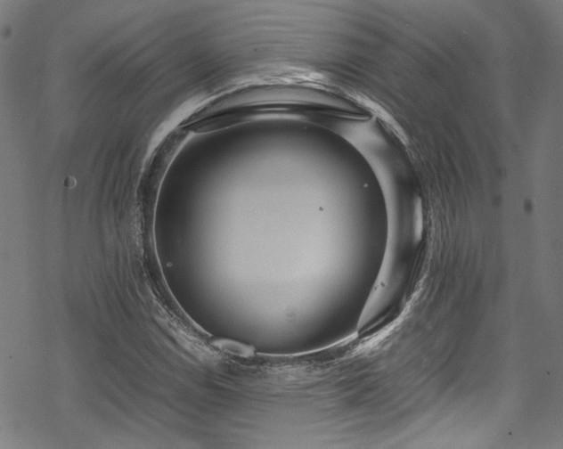 X0000070191114200605261150