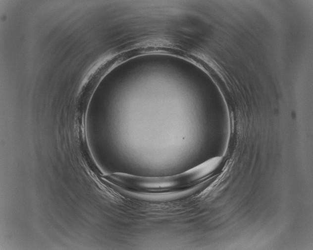 X0000070191115200605261150