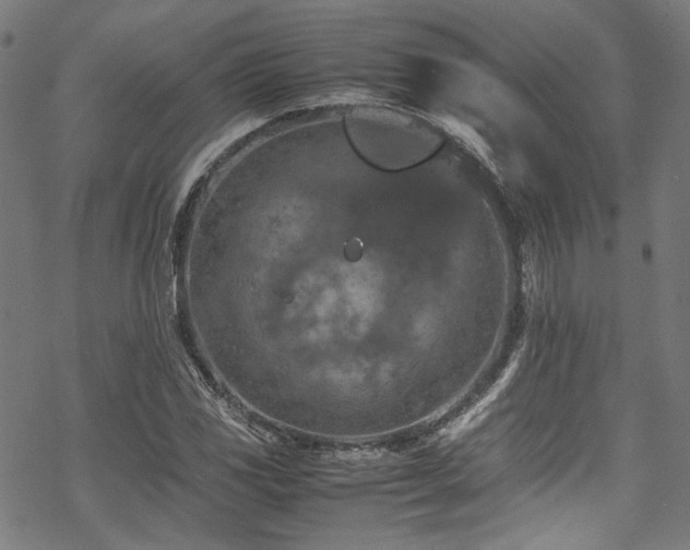 X0000070191117200605261151