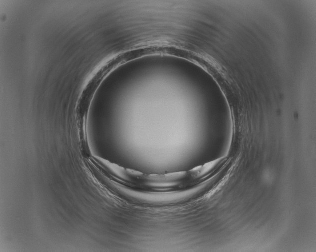 X0000070191118200605261151