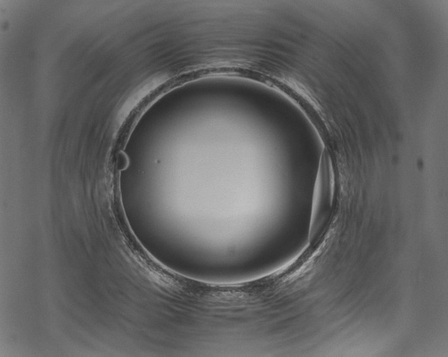 X0000070191119200605261151