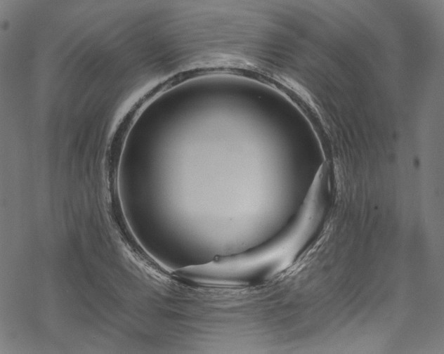 X0000070191120200605261151