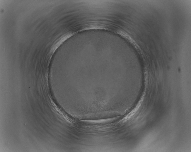 X0000070191121200605261151