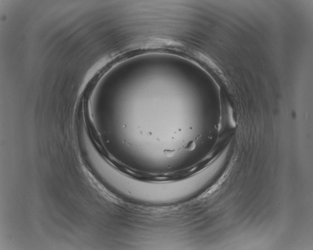 X0000070191122200605261151