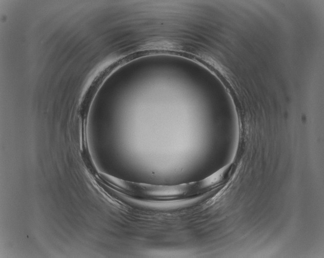 X0000070191123200605261151