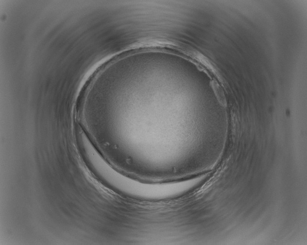 X0000070191124200605261151