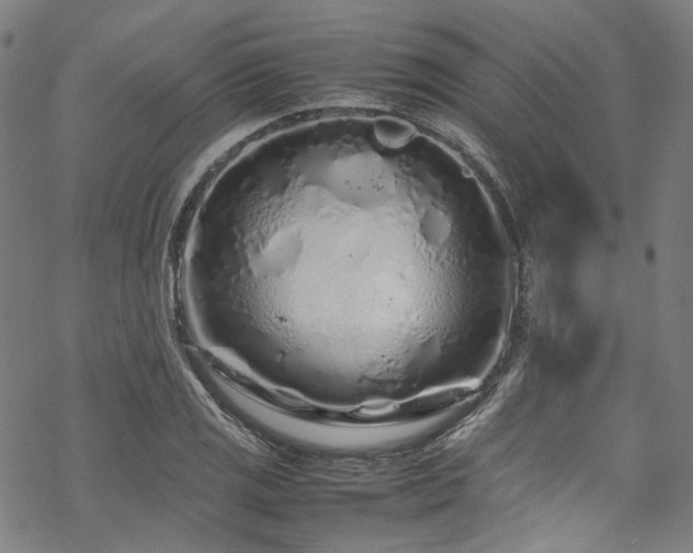 X0000070191125200605261151