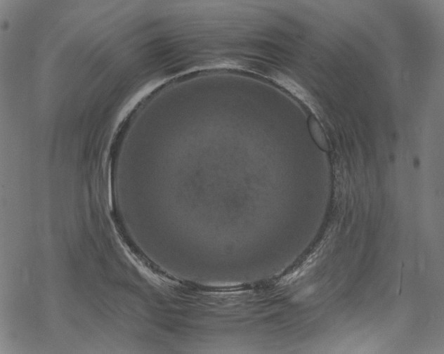 X0000070191127200605261151