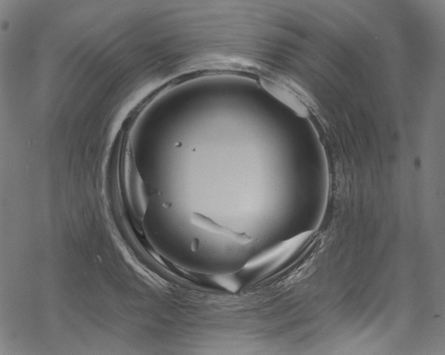 X0000070191128200605261151