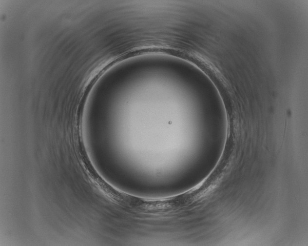 X0000070191129200605261151