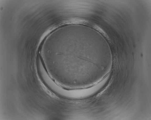 X0000070191130200605261151