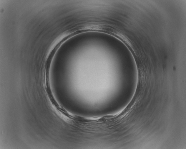 X0000070191131200605261151