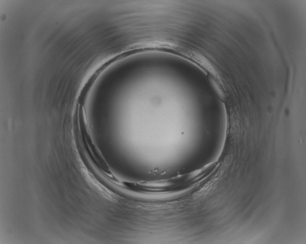 X0000070191132200605261151