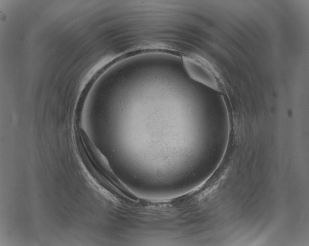 X0000070191133200605261151