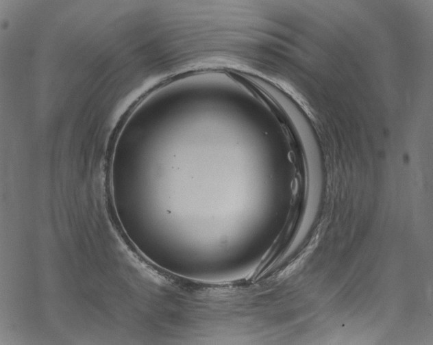 X0000070191134200605261151