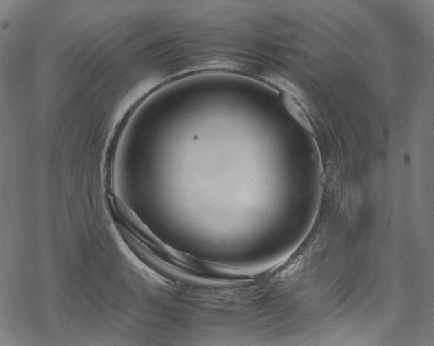 X0000070191135200605261151