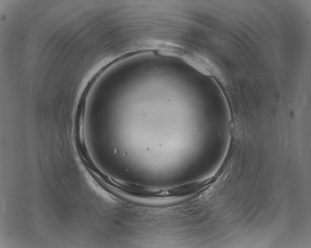 X0000070191136200605261151