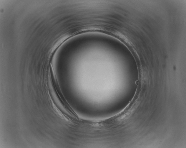 X0000070191137200605261151