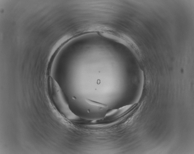 X0000070191138200605261151