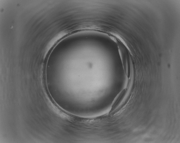 X0000070191139200605261151