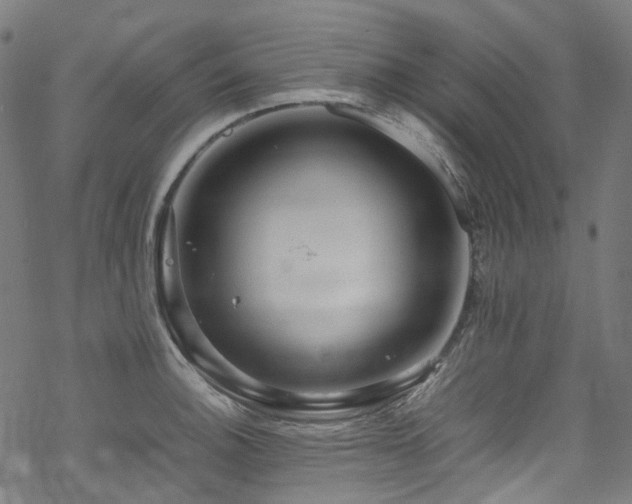 X0000070191140200605261151