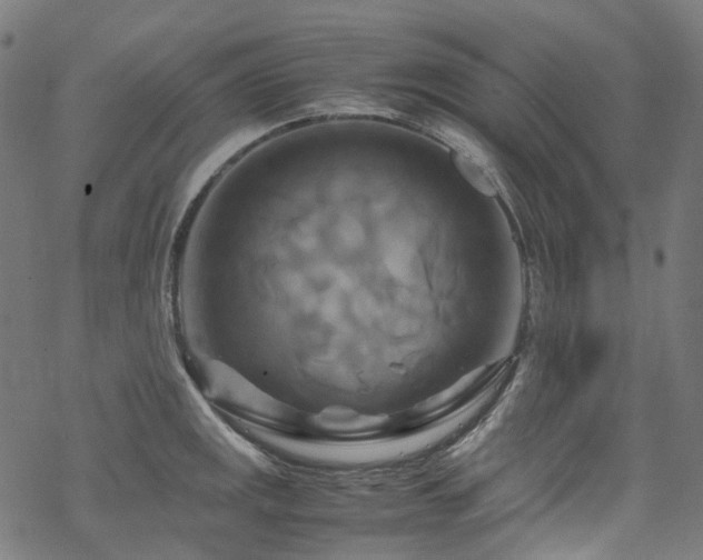 X0000070191141200605261151