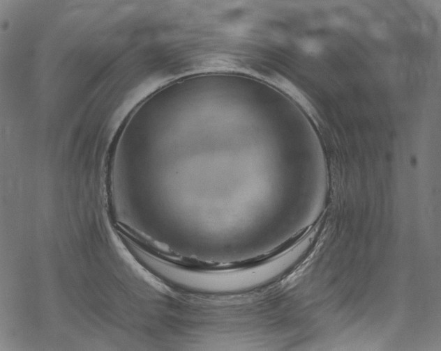 X0000070191142200605261151