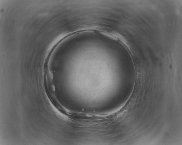 X0000070191143200605261151