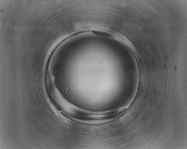 X0000070191144200605261151