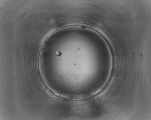 X0000070191145200605261151