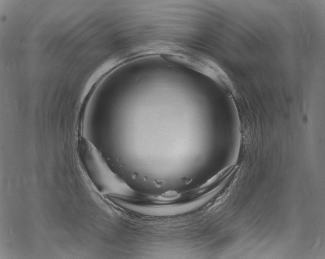 X0000070191146200605261151